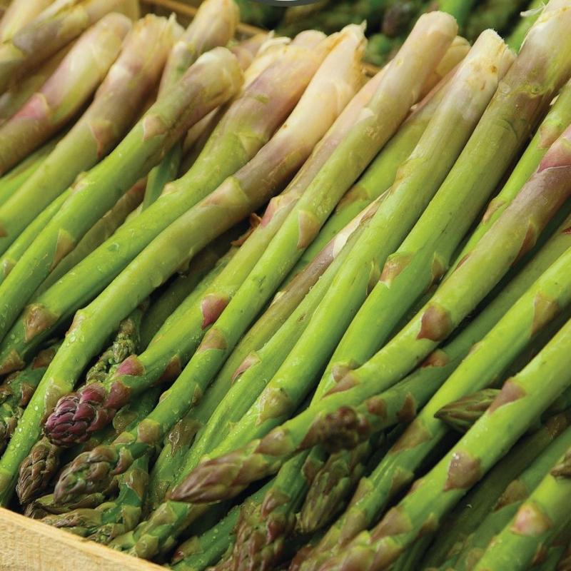 Historic Lewes Farmers Market to open for season May 7 Cape Gazette